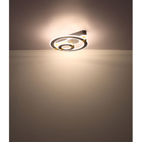 Потолочный светодиодный светильник Globo Margy 48447-48, LED 48W 2520lm - миниатюра 7
