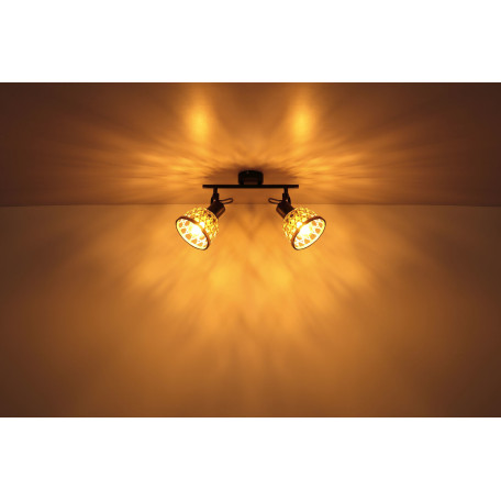 Потолочный светильник Globo Wenna 54053-2, 2xE27x15W - миниатюра 6
