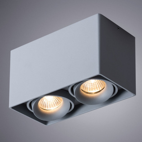 Потолочный светильник Arte Lamp Pictor A5654PL-2GY, 2xGU10x50W - миниатюра 2