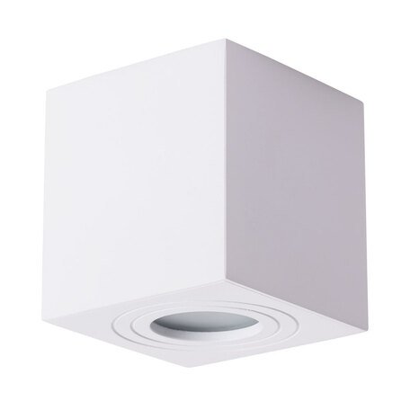 Потолочный светильник Arte Lamp Instyle Galopin A1461PL-1WH, IP44, 1xGU10x35W, белый, металл