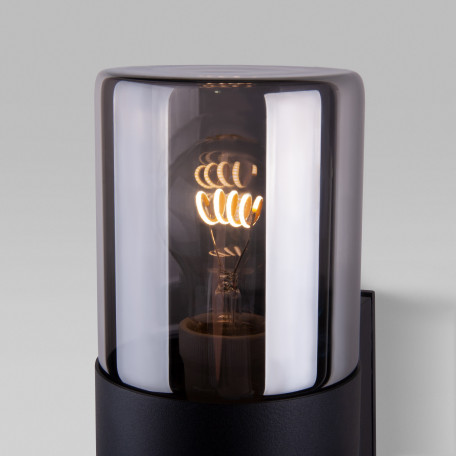 Настенный светильник Elektrostandard Roil 35125/D a055636, IP54, 2xE27x20W - миниатюра 6