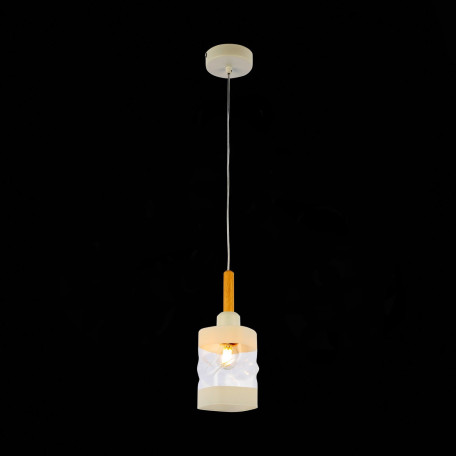 Подвесной светильник Evoluce Abiritto SLE114503-01, 1xE27x60W - миниатюра 3