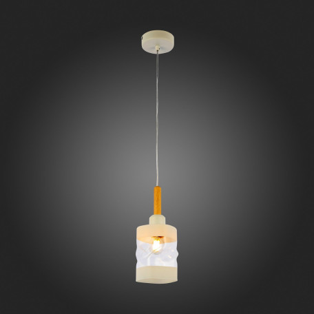 Подвесной светильник Evoluce Abiritto SLE114503-01, 1xE27x60W - миниатюра 4