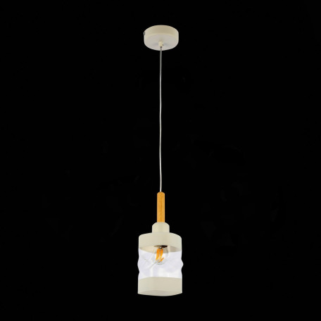 Подвесной светильник Evoluce Abiritto SLE114503-01, 1xE27x60W - миниатюра 5