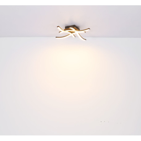 Потолочный светодиодный светильник Globo Evita 67171-12, LED 12W 3000K 800lm - миниатюра 5