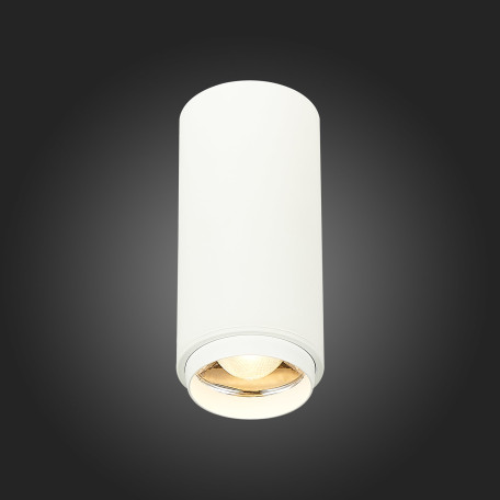 Потолочный светодиодный светильник ST Luce Zoom ST600.532.10, LED 10W 1000lm - миниатюра 4