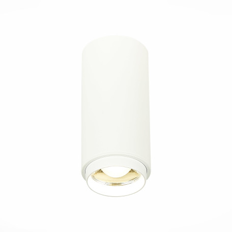 Потолочный светодиодный светильник ST Luce Zoom ST600.542.10, LED 10W 1000lm - миниатюра 1