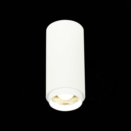Потолочный светодиодный светильник ST Luce Zoom ST600.542.10, LED 10W 1000lm - миниатюра 3
