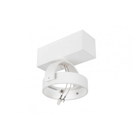 Потолочный светильник с регулировкой направления света Donolux Agueros DL18407/11WW-White, 1xG53x50W - миниатюра 2