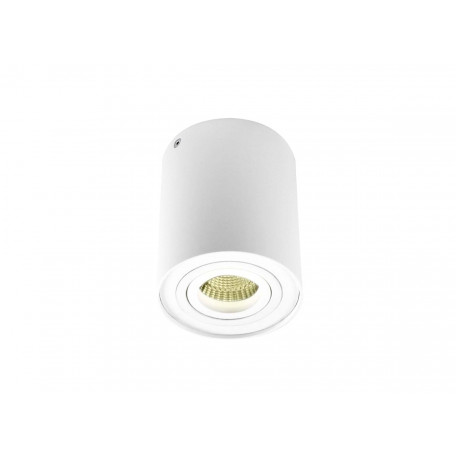 Потолочный светильник Donolux Lourian DL18613/01WW- R White, 1xGU10x50W - миниатюра 1