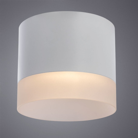 Потолочный светильник Arte Lamp Castor A5554PL-1WH, 1xGX53x15W - миниатюра 2