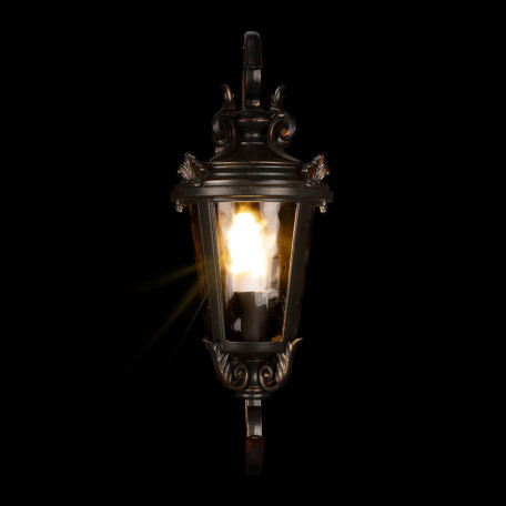 Настенный светильник Loft It Verona 100003W, IP55, 1xE27x60W - миниатюра 7
