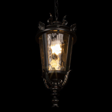 Подвесной светильник Loft It Verona 100003P, IP55, 1xE27x60W - миниатюра 5
