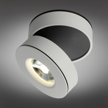 Потолочный светодиодный светильник Omnilux Borgetto OML-101909-12, LED 12W 4000K 900lm - миниатюра 2