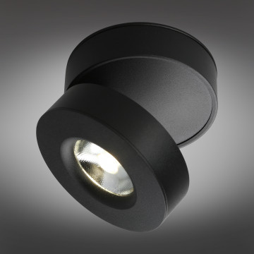 Потолочный светодиодный светильник Omnilux Borgetto OML-101919-12, LED 12W 4000K 900lm - миниатюра 2