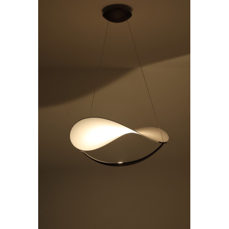 Подвесной светодиодный светильник Zortes Quincy ZRS.1585.13, IP21, LED 25W 3000-6000K 1800lm - миниатюра 4