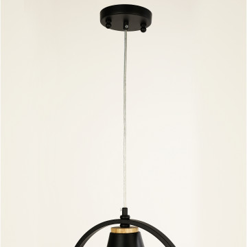 Подвесной светильник Favourite F-Promo Uccello 2938-1P, 1xE27x40W, черный - миниатюра 3
