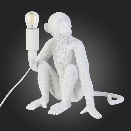 Настольная лампа Evoluce Tenato SLE115104-01, 1xE27x60W - миниатюра 4
