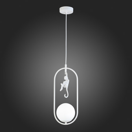 Подвесной светильник Evoluce Tenato SLE115123-01, 1xE27x60W - миниатюра 4