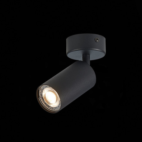 Потолочный светильник с регулировкой направления света ST Luce Dario ST303.402.01, 1xGU10x50W - миниатюра 3