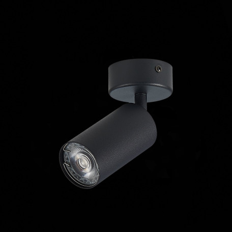 Потолочный светильник с регулировкой направления света ST Luce Dario ST303.402.01, 1xGU10x50W - миниатюра 5