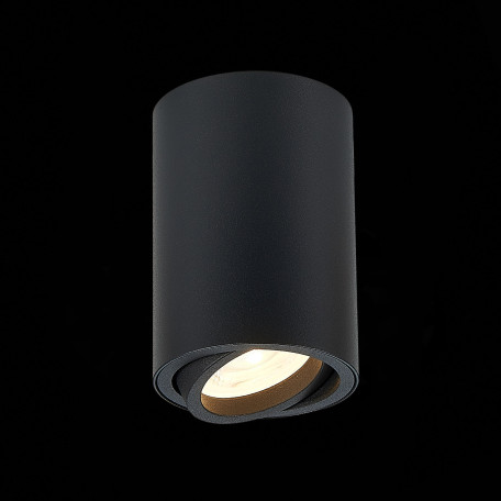 Потолочный светильник ST Luce Torus ST108.407.01, 1xGU10x50W - миниатюра 3
