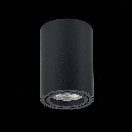 Потолочный светильник ST Luce Torus ST108.407.01, 1xGU10x50W - миниатюра 5