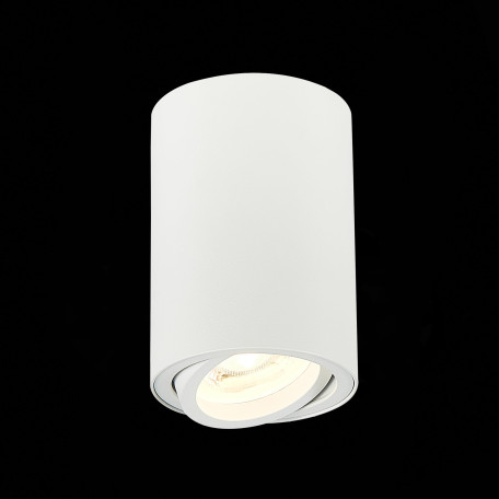 Потолочный светильник ST Luce Torus ST108.507.01, 1xGU10x50W - миниатюра 3