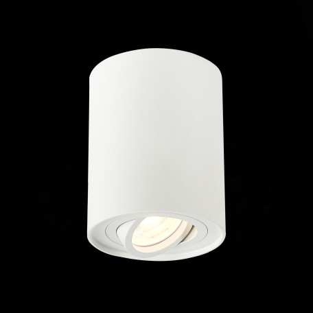 Потолочный светильник ST Luce Torus ST108.517.01, 1xGU10x50W - миниатюра 3