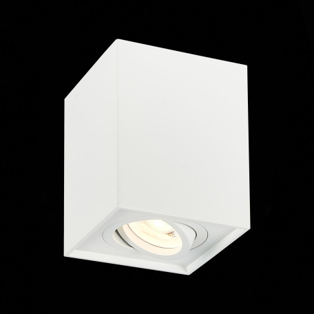 Потолочный светильник ST Luce Quadrus ST109.507.01, 1xGU10x50W - миниатюра 3