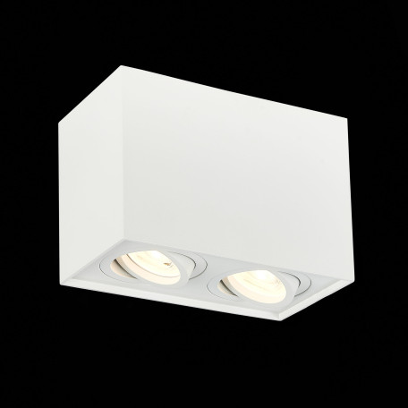 Потолочный светильник ST Luce Quadrus ST109.507.02, 2xGU10x50W - миниатюра 3
