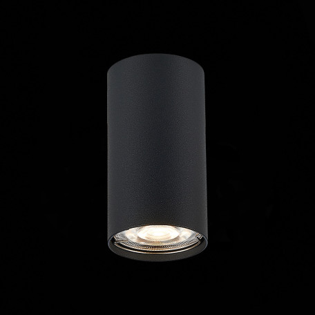 Потолочный светильник ST Luce Simplus ST110.407.01, 1xGU10x50W - миниатюра 3