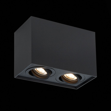 Потолочный светильник ST Luce Quadrus ST109.407.02, 2xGU10x50W - миниатюра 3