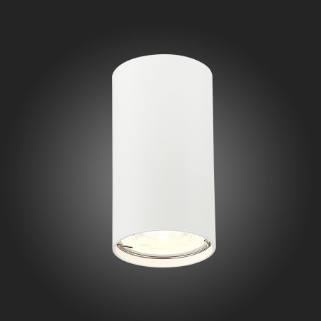 Потолочный светильник ST Luce Simplus ST110.507.01, 1xGU10x50W - миниатюра 4
