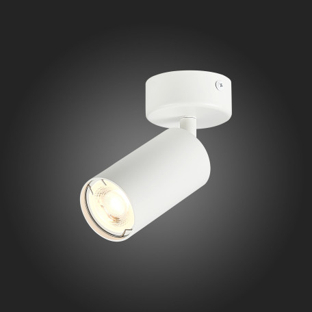 Потолочный светильник с регулировкой направления света ST Luce Dario ST303.502.01, 1xGU10x50W - миниатюра 4