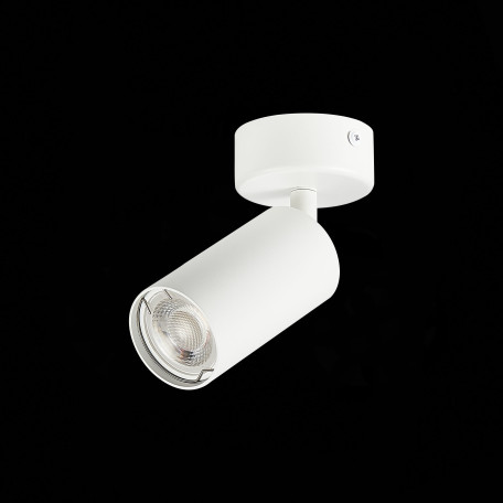 Потолочный светильник с регулировкой направления света ST Luce Dario ST303.502.01, 1xGU10x50W - миниатюра 5