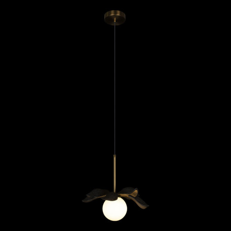 Подвесной светильник Loft It Monro 10213/A Black, 1xG9x20W - миниатюра 3