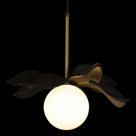 Подвесной светильник Loft It Monro 10213/A Black, 1xG9x20W - миниатюра 4