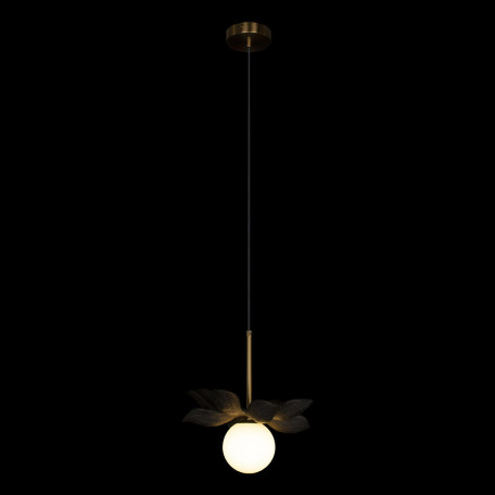 Подвесной светильник Loft It Monro 10213/B Black, 1xG9x20W - миниатюра 3