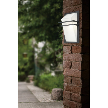 Настенный светильник Eglo Park 83433, IP44, 1xE27x60W, серый, белый, металл, стекло - миниатюра 2