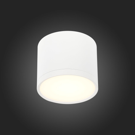 Потолочный светодиодный светильник ST Luce Rene ST113.532.09, LED 9W 702lm - миниатюра 4