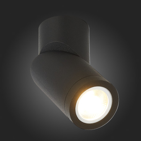 Потолочный светильник ST Luce ST650.402.01, 1xGU10x50W - миниатюра 5