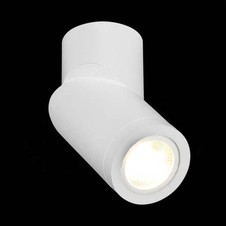 Потолочный светильник ST Luce ST650.502.01, 1xGU10x50W - миниатюра 4