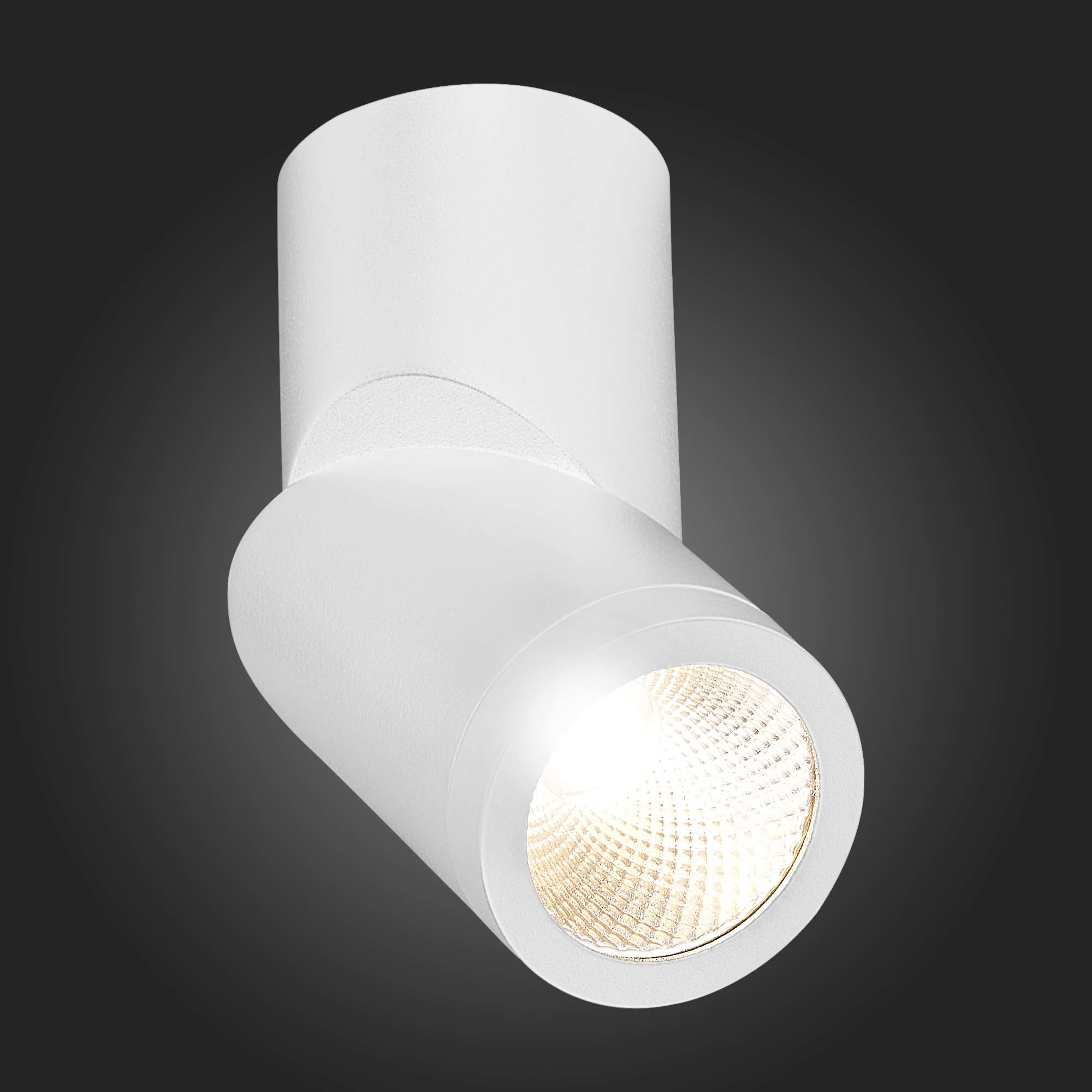 Потолочный светодиодный светильник ST Luce ST650.532.10, IP44, LED 10W 3000K 800lm - фото 6