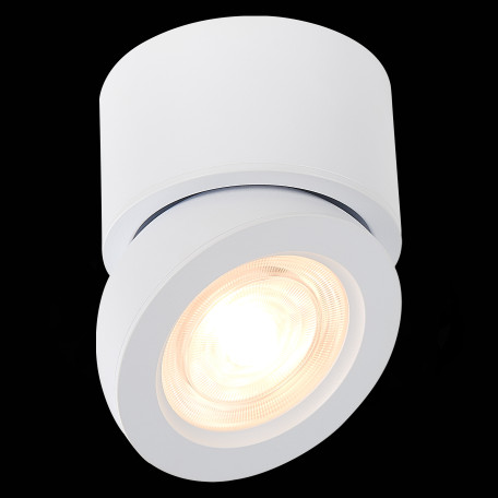 Потолочный светодиодный светильник ST Luce ST654.532.10, LED 10W 3000K 850lm - миниатюра 4