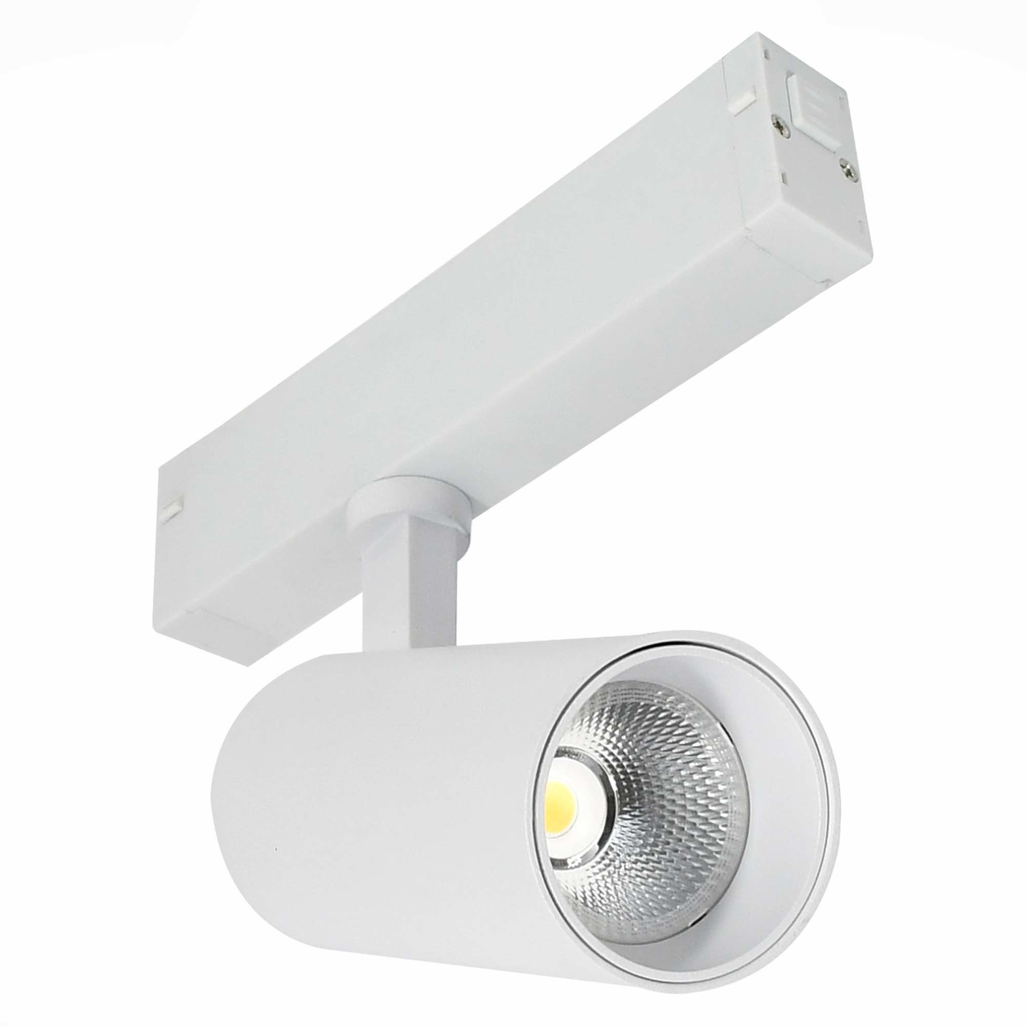 Светодиодный светильник ST Luce ST660.596.10, LED 10W 2700-6000K 535lm - фото 1