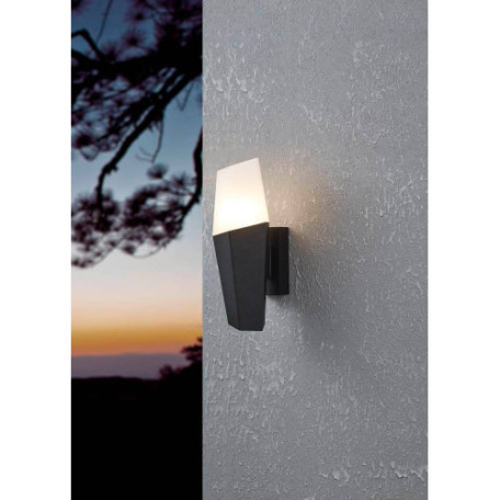 Настенный светильник Eglo Farindola 900682, IP44, 1xE27x25W - миниатюра 2