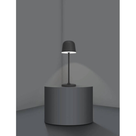 Настольная светодиодная лампа Eglo Mannera 900457, IP54, LED 2,2W 3000K 200lm - миниатюра 3