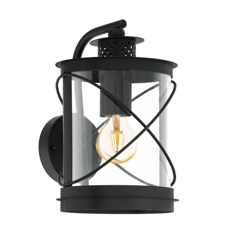 Настенный фонарь Eglo Hilburn 94843, IP44, 1xE27x60W, черный, прозрачный, металл, металл с пластиком - миниатюра 1