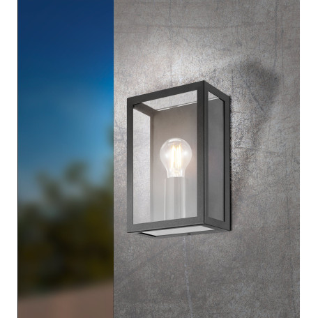 Настенный светильник Eglo Alamonte 1 94831, IP44, 1xE27x60W, прозрачный, черный, стекло, стекло с металлом - миниатюра 3